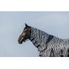 Camisa Riding World - Belly Mesh - Combo