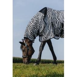 Camisa Riding World - Belly Mesh - Combo