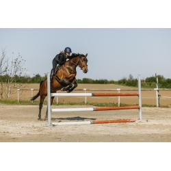 Chaleco Airbag Equitheme - Air2