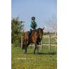 Chaleco Airbag Equitheme - Air2