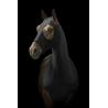 Protector De Cuello Lami-Cell - Lycra