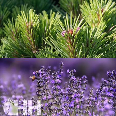 Relajante Leovet Relax Aromaspray