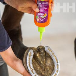 Higienizador De Cascos Equinatura Frog & Sole Protect