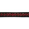 Frontalera Norton Pro "Strass"
