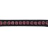 Frontalera Norton Pro "Strass"