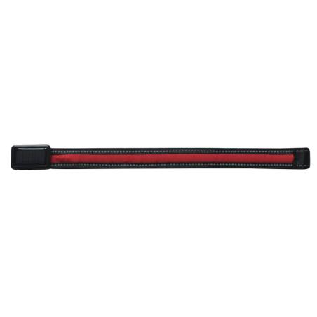 Frontalera Luminosa Equizor Led