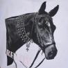 T-Shirt Bambina Ready To The Party In Cotone Con Strass
