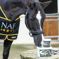 Complemento Alimenticio Naf – Superflex Senior
