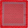 Pañuelo Flamenco Gris Infantil 500-48