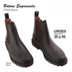  Botina Engrasada Marrón