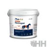 Suplemento Plusvital Gastro Intestinal Neutragast Polvo