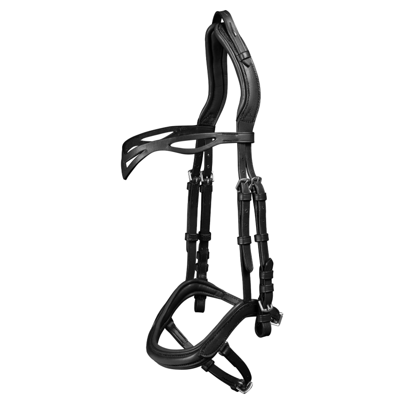 Brida Island Anatomic