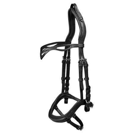 Brida Island Anatomic