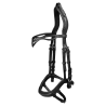 Brida Island Anatomic