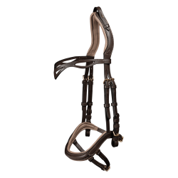 Brida Island Anatomic
