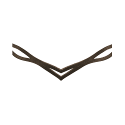 Brida Island Anatomic