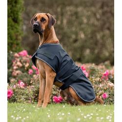 Manta Para Lluvia Para Perros