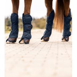 Protectores De Transporte Exclusive