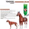 Zaldi Gel Para Tendones Tendigel Hanger