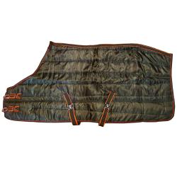 Winter Blanket 200Agsm Poly...