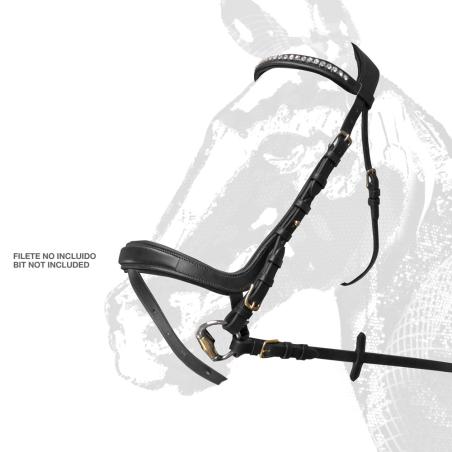 Cabezada Montar Entrenamiento