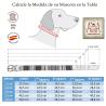 Collar De Perro 220/002