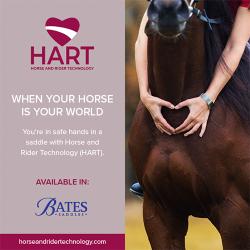 Silla Ing.doma Clasica Bates Dressage