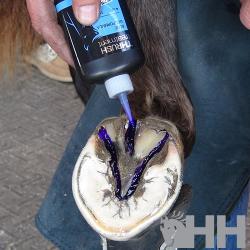 Higienizador De Cascos...