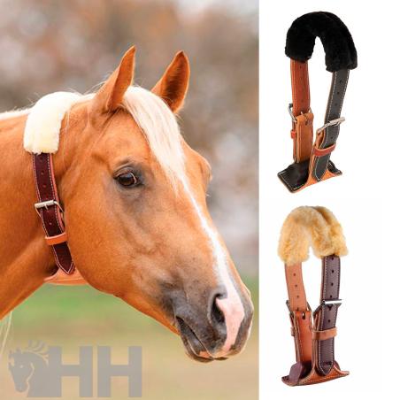 Collar Aire Professional's Choice Dare