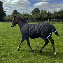 Manta Amigo Ripstop 900D Foal Potrillo Exterior Medium (200G)