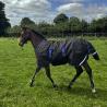 Manta Amigo Ripstop 900D Foal Potrillo Exterior Medium (200G)
