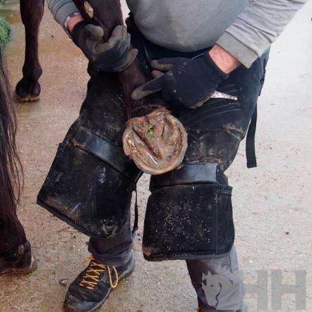 Delantal Herrador Hispano Farrier Con Topes Antideslizantes Mod Ligero
