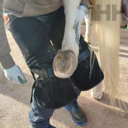 Delantal Herrador Hispano Farrier Con Topes Antideslizantes Mod Ligero