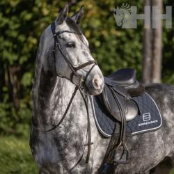 Filete Sprenger Dynamic Rs Hunter Jumper Anilla D 70Mm Partido Doble