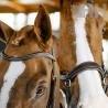 Cabezada Inglesa Horseware Micklem Competition Bridle