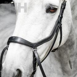 Cabezada Inglesa Horseware...