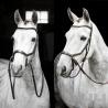 Cabezada Inglesa Horseware Micklem Bitless Bridle