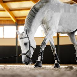 Cabezada Inglesa Horseware Micklem Multi Bridle