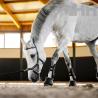 Cabezada Inglesa Horseware Micklem Multi Bridle