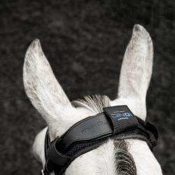 Protector Testero Horseware Ionic Calmante