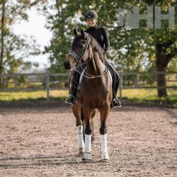 Bocado Sprenger Basic Doma Ho Pierna Movible 7Cm