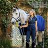 Cabezada Cuadra Horsewear Newmarket Con Ramal