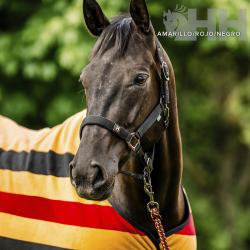 Cabezada Cuadra Horsewear Newmarket Con Ramal