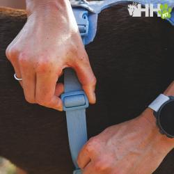 Arnes Ruffwear Para Perros Front Range Flex