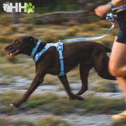 Arnes Ruffwear Para Perros Front Range Flex