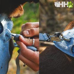 Arnes Ruffwear Para Perros Front Range Flex