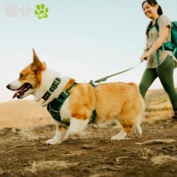 Collar Ruffwear Para Perros Front Range Flex