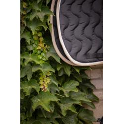 Paddock Orig.ecu S.pad Fs Blk