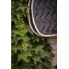 Paddock Orig.ecu S.pad Fs Blk