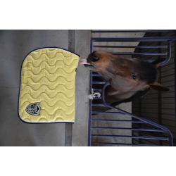 Paddock Orig.ecu S.pad Fs Blk